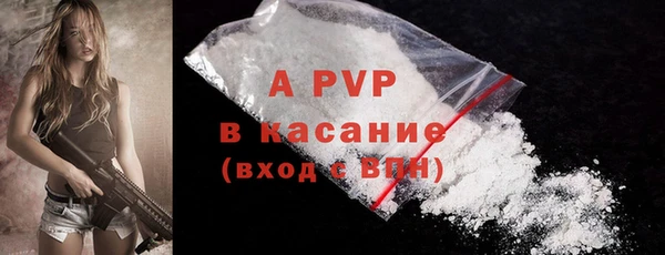 ПСИЛОЦИБИНОВЫЕ ГРИБЫ Лабытнанги