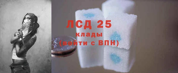 ПСИЛОЦИБИНОВЫЕ ГРИБЫ Лабытнанги