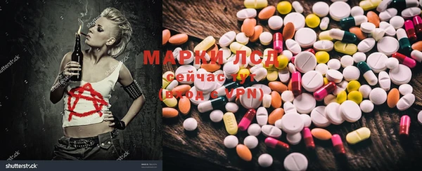 стаф Ладушкин
