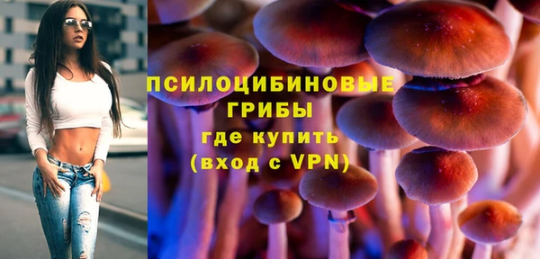 ПСИЛОЦИБИНОВЫЕ ГРИБЫ Лабытнанги